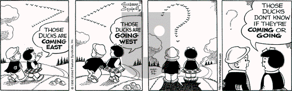 Nancy on Wednesday May 29, 1996 Comic Strip