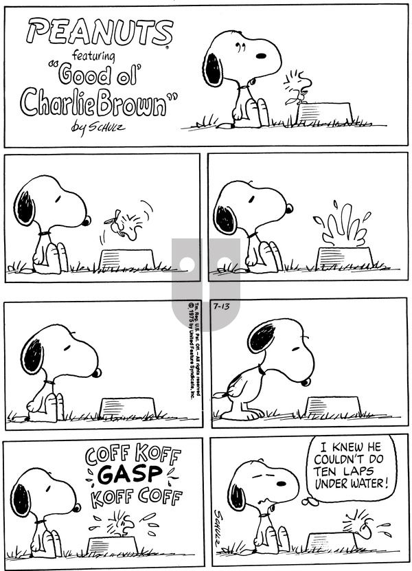 Peanuts on Sunday July 13, 1975 Comic Strip