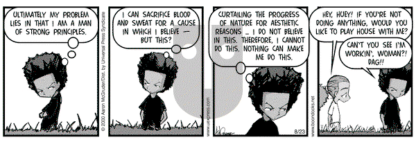 The Boondocks on Wednesday August 23, 2000 Comic Strip