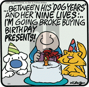 Ziggy on Saturday September 4, 2021 Comic Strip