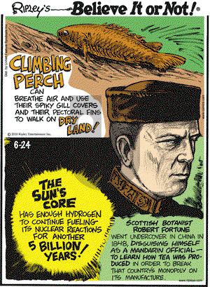 Ripley's Believe It or Not on Thursday June 24, 2010 Comic Strip
