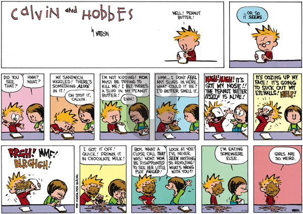 Calvin and Hobbes on Sunday October 19, 2014 Comic Strip