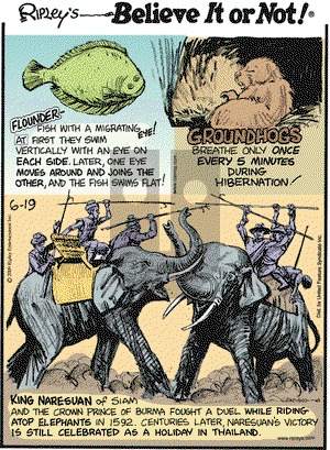 Ripley's Believe It or Not on Friday June 19, 2009 Comic Strip