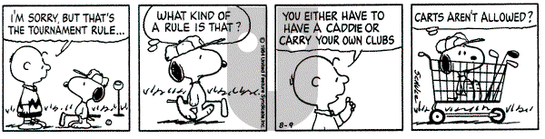 Peanuts on Thursday August 9, 1984 Comic Strip
