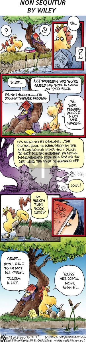 Non Sequitur on Sunday June 17, 2018 Comic Strip