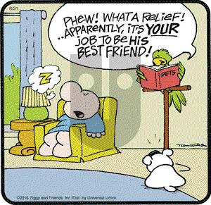 Ziggy - Wednesday August 31, 2016 Comic Strip