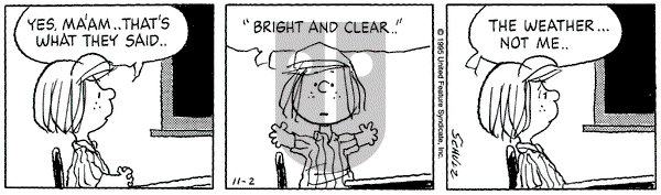 Peanuts - Thursday November 2, 1995 Comic Strip