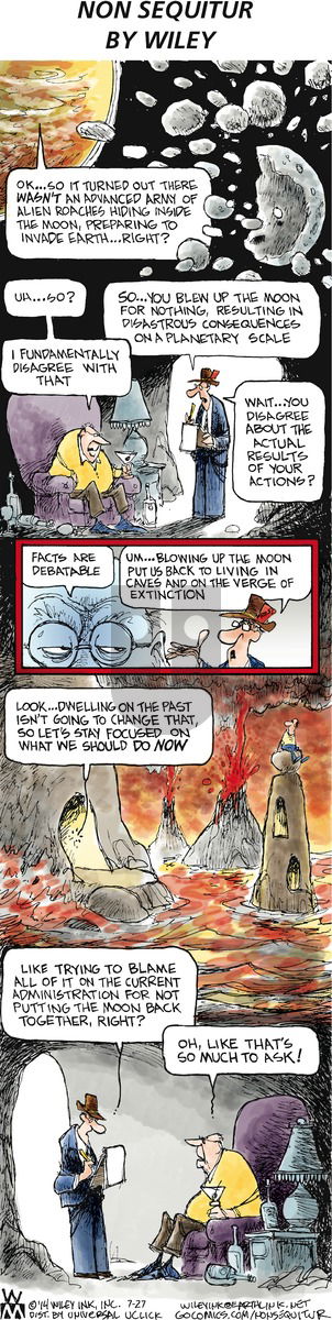 Non Sequitur on Sunday July 27, 2014 Comic Strip