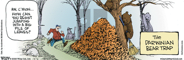 Non Sequitur on Saturday December 6, 2025 Comic Strip