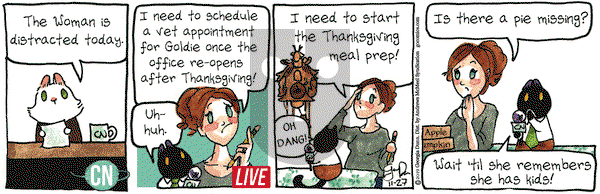 Breaking Cat News on Wednesday November 27, 2019 Comic Strip