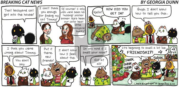 Breaking Cat News on Sunday December 24, 2017 Comic Strip