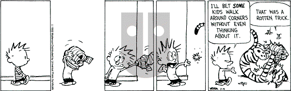 Calvin and Hobbes - Friday March 19, 1993 Comic Strip