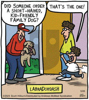 The Argyle Sweater - Friday May 26, 2023 Comic Strip