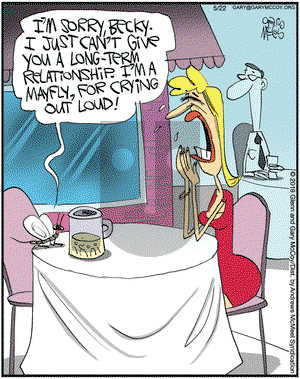 The Flying McCoys on Wednesday May 22, 2019 Comic Strip