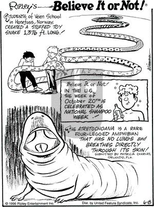 Ripley's Believe It or Not on Saturday June 8, 1996 Comic Strip