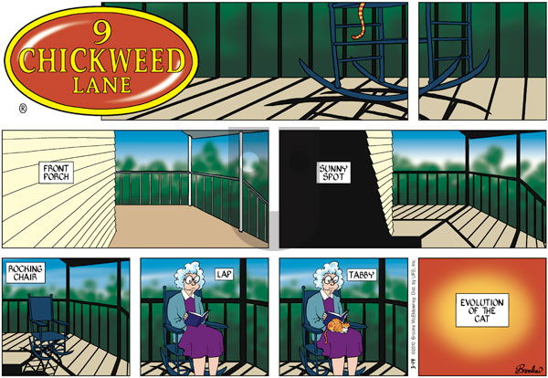 9 Chickweed Lane on Sunday March 14, 2010 Comic Strip