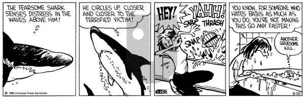 Calvin and Hobbes on Friday August 30, 1991 Comic Strip
