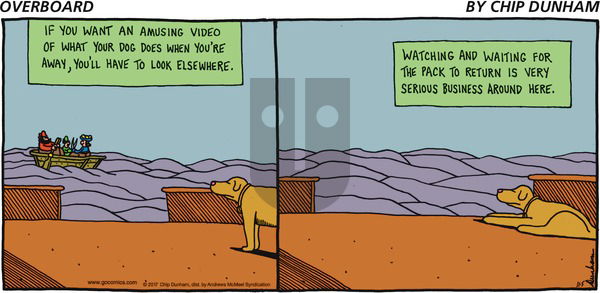 Overboard on Sunday November 5, 2017 Comic Strip