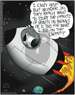 The Flying McCoys on Friday January 19, 2018 Comic Strip