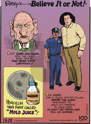 Ripley's Believe It or Not on Friday October 25, 2019 Comic Strip