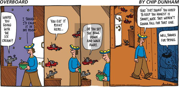 Overboard on Sunday July 28, 2013 Comic Strip