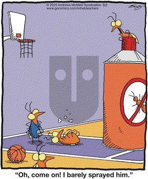 In the Bleachers on Monday June 2, 2025 Comic Strip