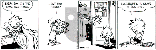 Calvin and Hobbes - Tuesday July 30, 2024 Comic Strip