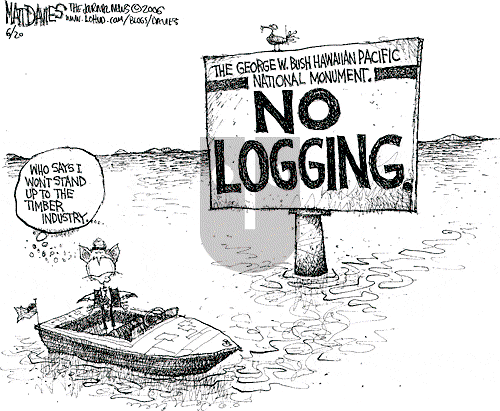 Matt Davies on Tuesday June 20, 2006 Comic Strip