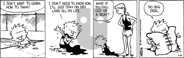 Calvin and Hobbes - Friday September 20, 1991 Comic Strip