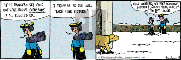 Overboard on Tuesday February 4, 2014 Comic Strip