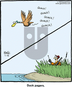 In the Bleachers - Saturday January 16, 2010 Comic Strip