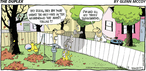 The Duplex on Sunday November 5, 2000 Comic Strip