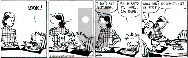 Calvin and Hobbes on Saturday June 9, 1990 Comic Strip