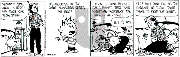 Calvin and Hobbes on Saturday August 22, 1992 Comic Strip