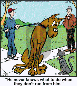 Marmaduke on Tuesday June 3, 2025 Comic Strip