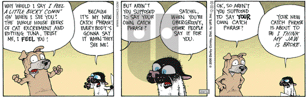 Get Fuzzy on Tuesday December 30, 2008 Comic Strip