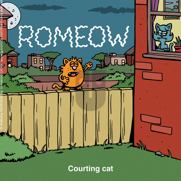 Learn to Speak Cat - Wednesday September 27, 2023 Comic Strip