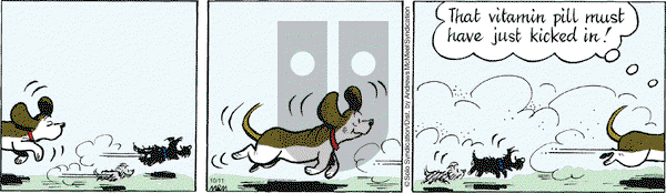 Fred Basset on Friday October 11, 2019 Comic Strip