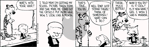 Calvin and Hobbes - Tuesday February 24, 1987 Comic Strip