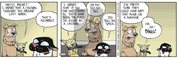 Get Fuzzy on Thursday September 4, 2003 Comic Strip