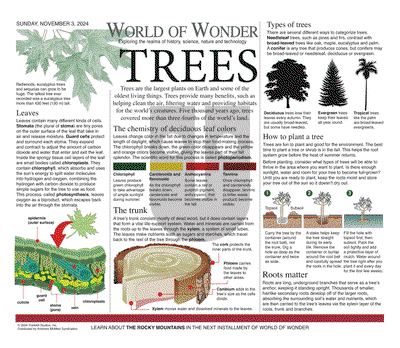 World of Wonder on Sunday November 3, 2024 Comic Strip