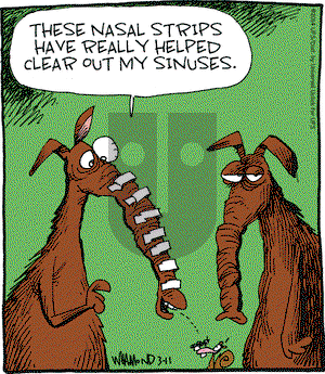 Reality Check on Tuesday March 11, 2014 Comic Strip