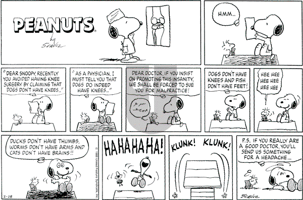 Peanuts - Sunday February 28, 1988 Comic Strip