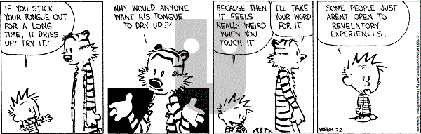 Calvin and Hobbes - Friday July 2, 1993 Comic Strip