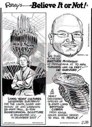 Ripley's Believe It or Not on Thursday February 28, 2008 Comic Strip