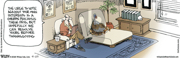Non Sequitur on Thursday May 22, 2025 Comic Strip