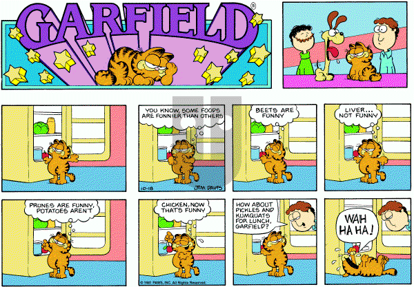 Garfield on Sunday October 18, 1981 Comic Strip