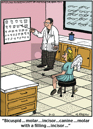 Close to Home on Tuesday September 10, 2024 Comic Strip