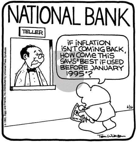 Ziggy - Wednesday June 16, 1993 Comic Strip