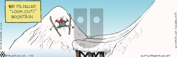 Non Sequitur on Saturday January 26, 2013 Comic Strip